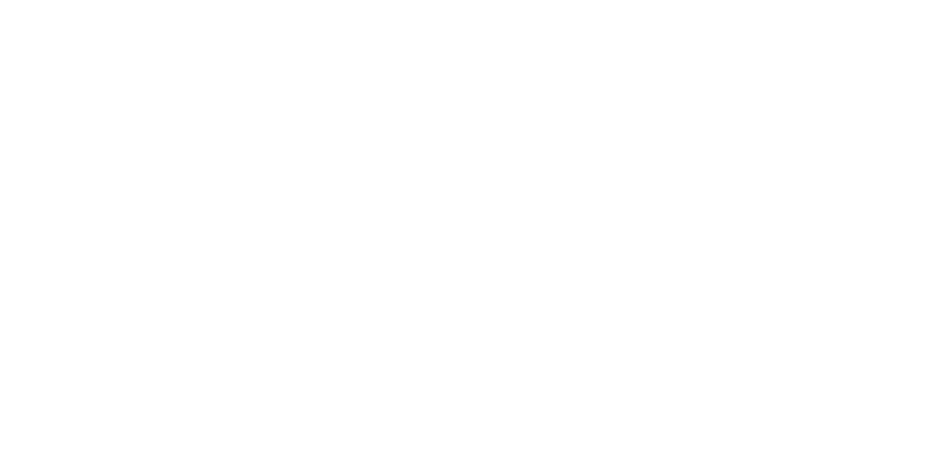 DMUN Guide